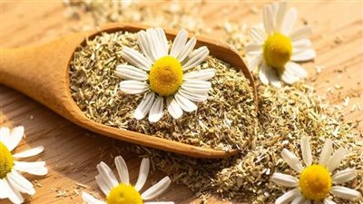 10 أعشاب لتهدئة الأعصاب من القلق والتوتر.. أبرزها زهرة الآلام