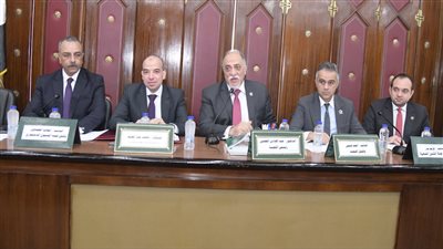 تضامن النواب توافق مشروع قانون المجلس القومي للطفولة والأمومة