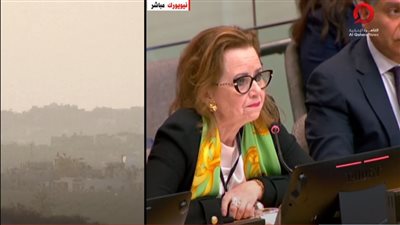 غزة تحتضر.. بكاء سيدة فلسطينية يصدم الحضور في الأمم المتحدة (فيديو)