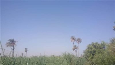 تواصل انخفاض دراجات الحرارة بكافة أنحاء قنا اليوم الأربعاء