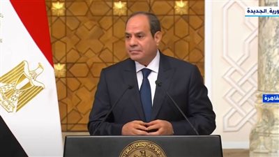 السيسي: الرأي العام العربي والإسلامي داعم للقضية الفلسطينية