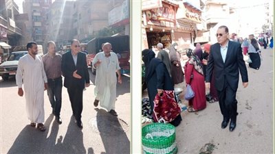 محافظ الشرقية يعاود زيارته لقرية انشاص الرمل للوقوف على مستوي الخدمات 