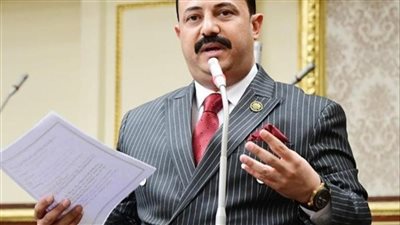 برلماني: الجهود المصرية للقيادة السياسية واضحة في ملف القضية الفلسطينية