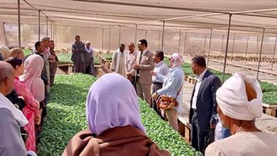 الفاو تقدم خدمات ارشادية لـ 325 مزارعا بالمنيا