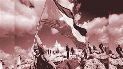 دينا دياب تكتب: فلسطين فى القلب