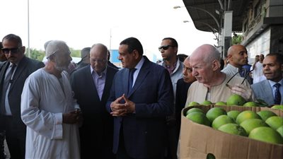 وزير التنمية المحلية ومحافظ القاهرة يتابعان الالتزام بتخفيض الأسعار في سوق العبور 