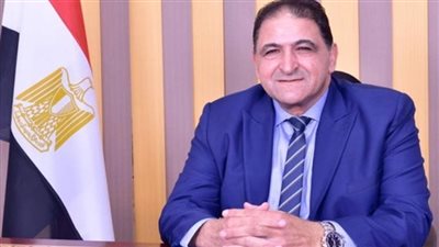 برلماني: موقف مصر حاسم بشأن عدم تصفية القضية الفلسطينية وتهجيرهم من أراضيهم