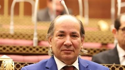 خالد قنديل: الجرائم الإسرائيلية كشفت نوايا خبيثة في إقامة دولة لكيان مختل غاصب