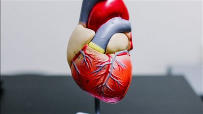 عدم اتباع نظام غذائي يزيد من ارتفاع نسبة الكولسترول.. طبيب يوضح 