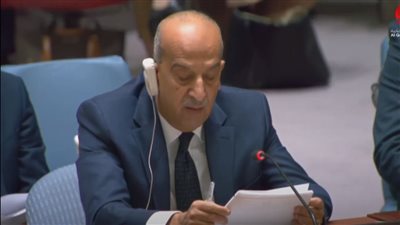 مندوب مصر بمجلس الأمن يطالب بوقف فوري لإطلاق النار في غزة