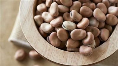 سعر الفول صباح اليوم الخميس في الأسواق المصرية ولدى تاجر الجملة