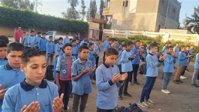 تعليم كفر الشيخ: 