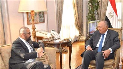 وزير الخارجية لنظيره البريطاني: استمرار الانتهاكات الإسرائيلية يوسع دائرة الصراع في المنطقة