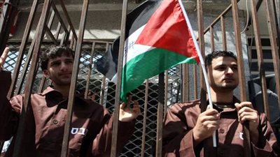 شؤون الأسرى الفلسطينيين تكشف أعداد المعتقلين (فيديو) 