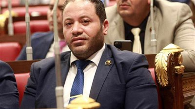 برلماني: احتشاد المصريين أمام النصب التذكاري غدًا تأكيدًا على دعم مصر للقضية الفلسطينية 