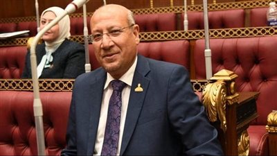 النائب عمرو عكاشة: توجيهات السيسي بتحقيق الأمن الغذائي يهدف لتحقيق الاكتفاء الذاتي