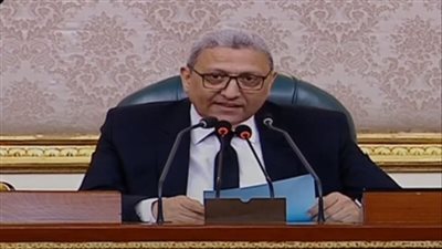 وكيل النواب مشيدًا بتحركات السيسي بشأن القضية الفلسطينية: لا تنبع إلا من قائد رشيد (فيديو) 