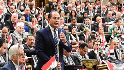 وهدان: المعارضة تفوض الرئيس السيسي باتخاذ التدابير اللازمة لحفظ الأمن القومي