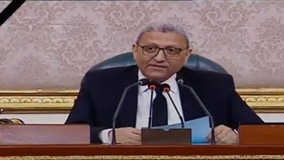 وكيل النواب: القضية الفلسطينية تواجه منعطفًا هو الأخطر في تاريخها (فيديو) 