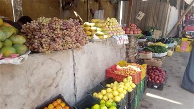 أسعار الخضروات والفواكه بأسواق قنا اليوم الجمعة