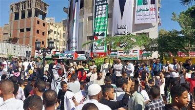 فيديو.. هتافات مدوية لدعم فلسطين من وسط مدينة قنا