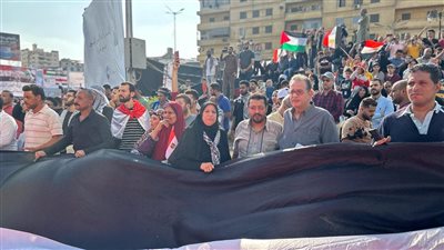 النائب طارق عبد العزيز يشارك المصريين في مسيرات تفويض الرئيس السيسي بالمنصورة