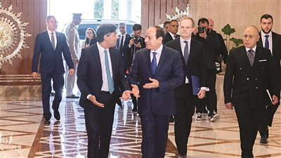 قمة القاهرة للسلام.. تحرك مصري مُكثف على جبهة ضرب مُخطط الاحتلال الإسرائيلي