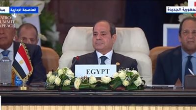 السيسي: ندين قتل وترويع كل المدنيين المسالمين (شاهد)
