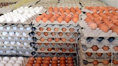 أسعار كرتونة البيض اليوم السبت للمستهلك والجملة