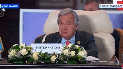 الأمين العام للأمم المتحدة يشكر مصر على دورها في إنهاء معاناة قطاع غزة
