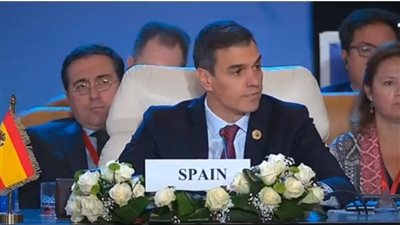 إسبانيا: يجب تنفيذ حل الدولتين ولا يجب تأجيل تنفيذ هذا الحل (فيديو) 