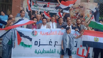 محامين القليوبية تنظم وقفة تضامنية مع القضية الفلسطينية 