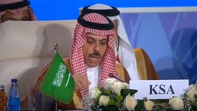 السعودية: نتمسك بضرورة إقامة دولة فلسطينية مستقلة على حدود 1967 (فيديو) 
