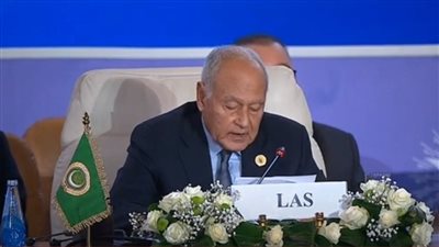 الجامعة العربية: هناك تخوفات كبرى من الانجراف إلى صراع ديني بالمنطقة (شاهد) 