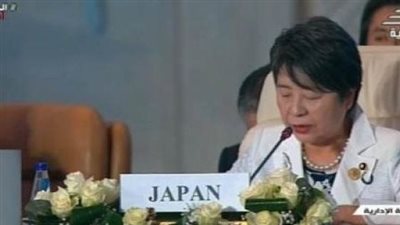 اليابان: مصر تلعب دورًا عظيمًا لإيصال المساعدات الإنسانية إلى غزة (شاهد) 