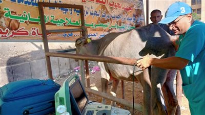 انطلاق فعاليات القافلة البيطرية المجانية لقرى حياة كريمة بالمنوفية 