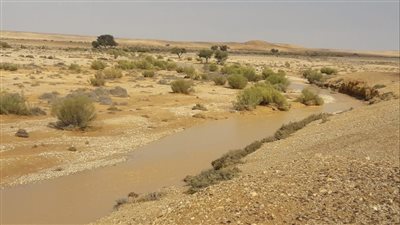 ماذا تعرف عن قرية الكونتلا الحدودية المحذوفة من الخريطة؟ 