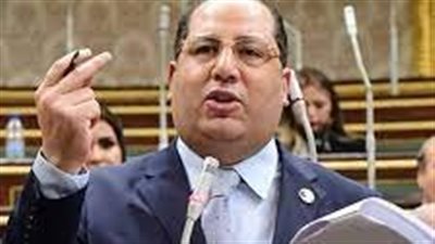 برلماني: البيان الرئاسي لقمة القاهرة للسلام كشف ازدواجية التعامل الدولي مع القضية الفلسطينية