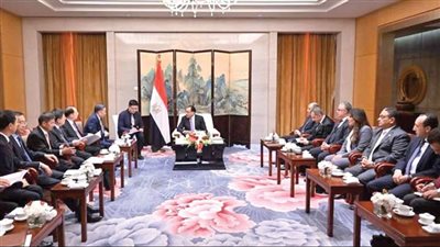 مدبولي يبحث مع رئيس «تشاينا إنرجى» مشروع بناء وتحديث قرية البضائع الجديدة بمطار القاهرة