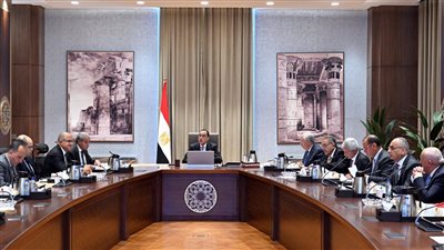 مدبولي يتابع تنفيذ مبادرة خفض أسعار السلع الأساسية.. ويؤكد العمل على حل أي مشكلات