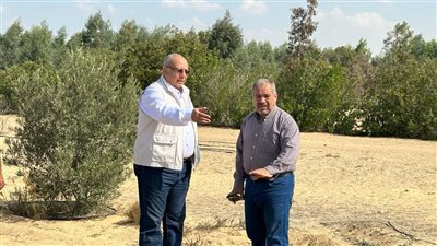 رئيس مركز بحوث الصحراء يؤكد أهمية البحوث التطبيقية والتعاون مع المزارعين بشمال سيناء