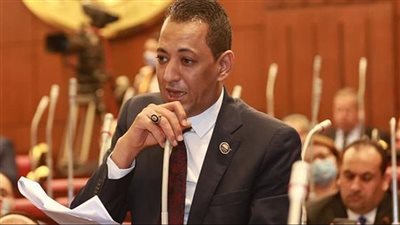 أسامة الهواري يطالب بتشريع يجرم تداول الأسمدة وغرامة مالية لردع السوق السوداء