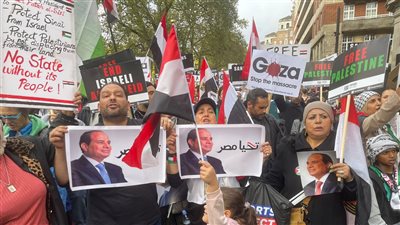 الجالية المصرية بلندن تنظم وقفة تضامنية مع الشعب الفلسطيني وتفويض السيسي لحماية الوطن