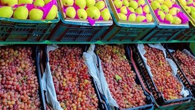 البرتقال ب15 جنيها..أسعار الخضروات والفاكهة اليوم الإثنين بالفيوم 