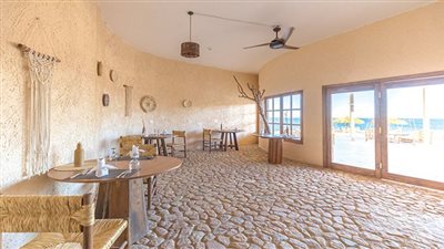 استمتع بأشهى المأكولات البحرية بمطاعم «فلوكا» لمجموعة «صن رايز»