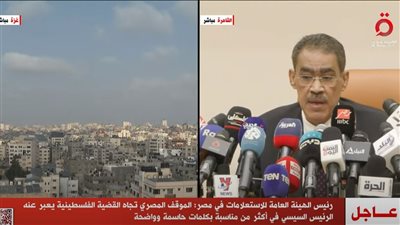 ضياء رشوان: مصر حذرت من تضخم الأوضاع في الأراضي الفلسطينية المحتلة