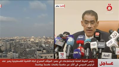 ضياء رشوان: مصر طالبت في 2023 وقف الإجراءات الأحادية المعرقلة لحل الدولتين