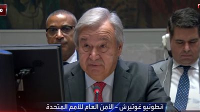 أمين عام الأمم المتحدة: 