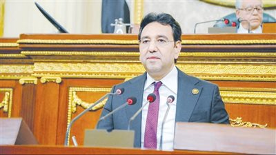 الدكتور أيمن محسب يطالب بتنمية الصادرات المصرية لأفريقيا