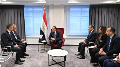 مدبولي يلتقي الرئيس التنفيذي لشركة 